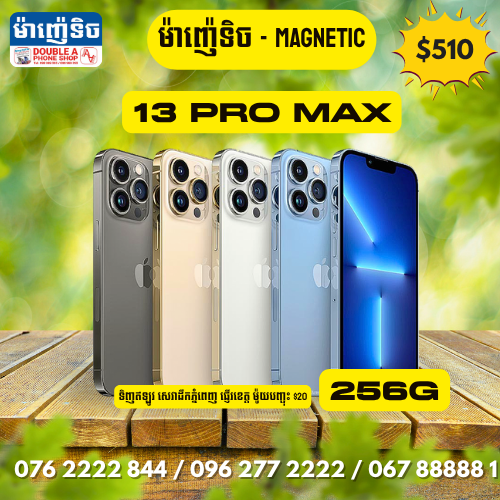 13 Pro Max | 256GB