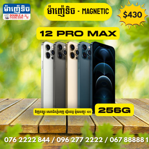 12 Pro Max | 256GB