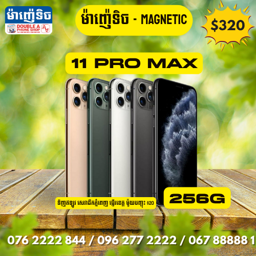 iPhone 11 Pro Max | 256GB